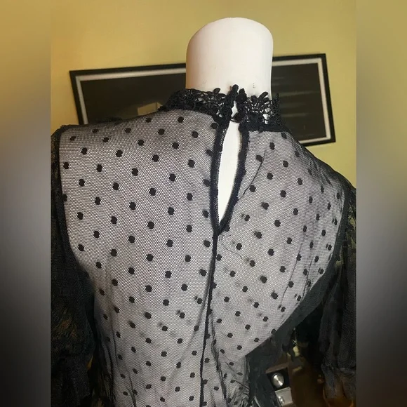 Ladies Blashe gothic lace ruffle polka dot vamp blouse Victorian sheer top - Picture 7 of 7